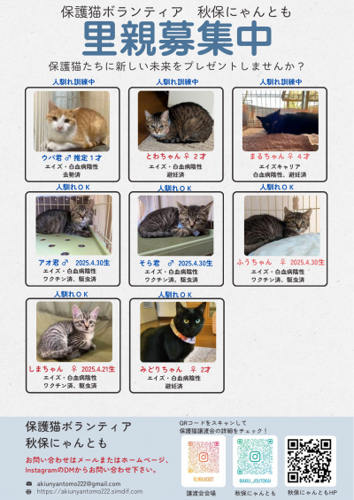 里親募集中