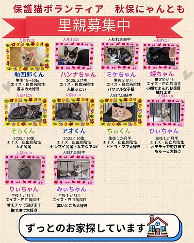 里親募集中