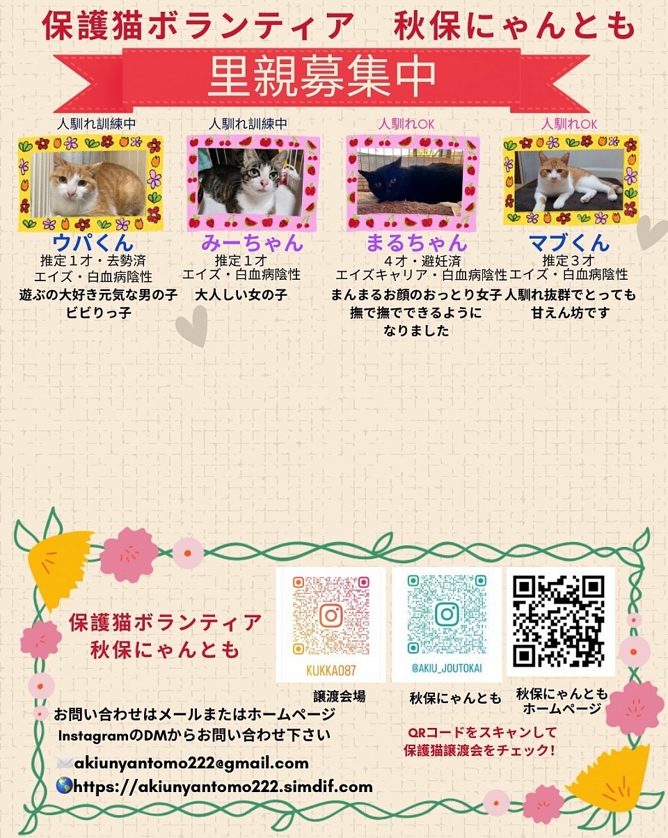 里親募集中