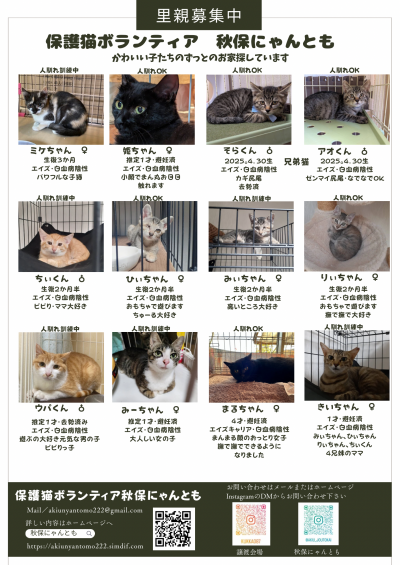 里親募集中