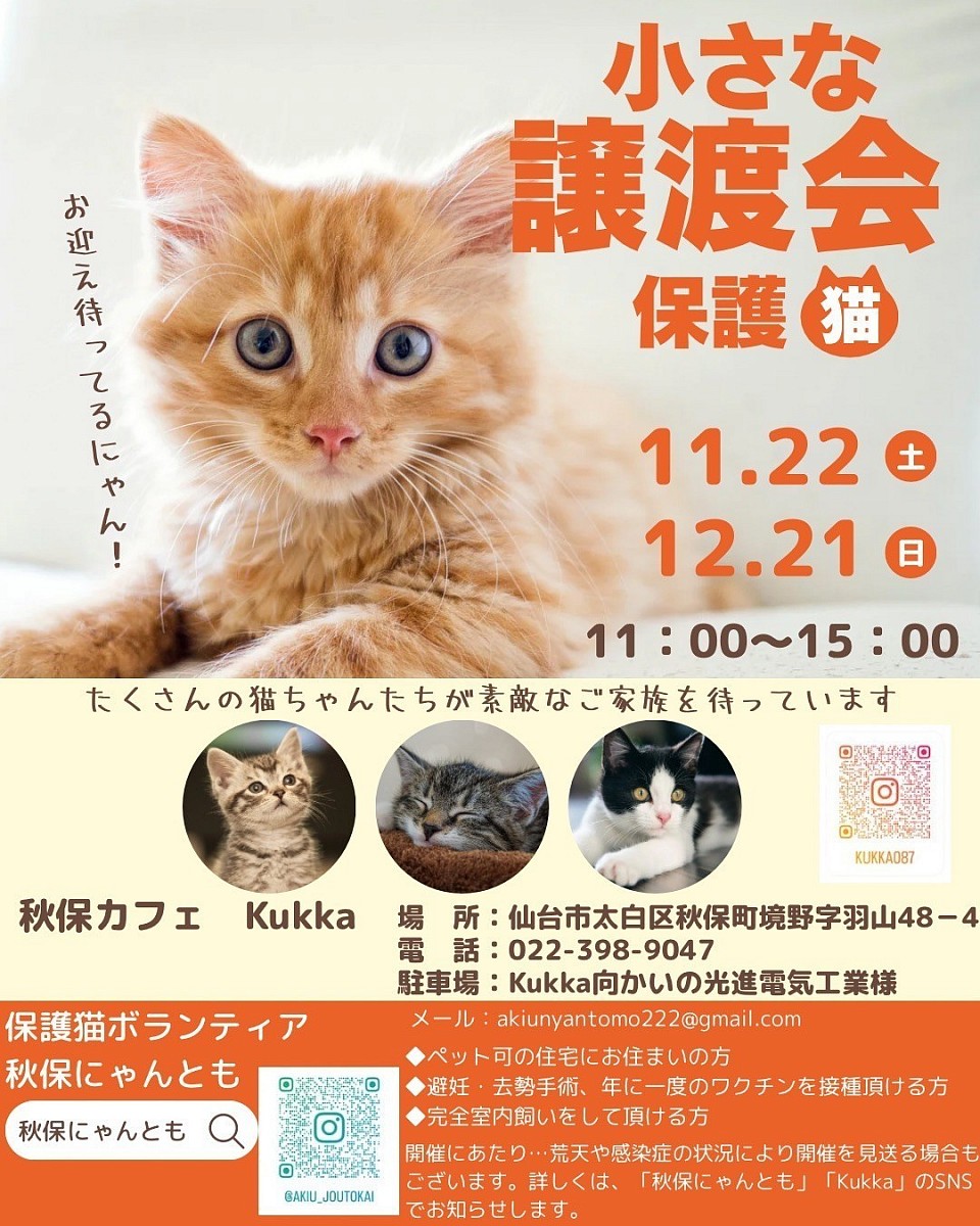 12月は日曜日開催