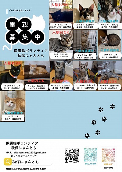 里親募集中