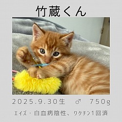 竹蔵くん　2ヶ月