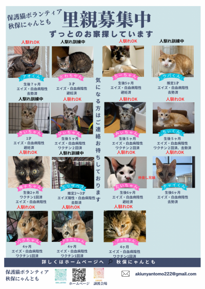 里親募集中