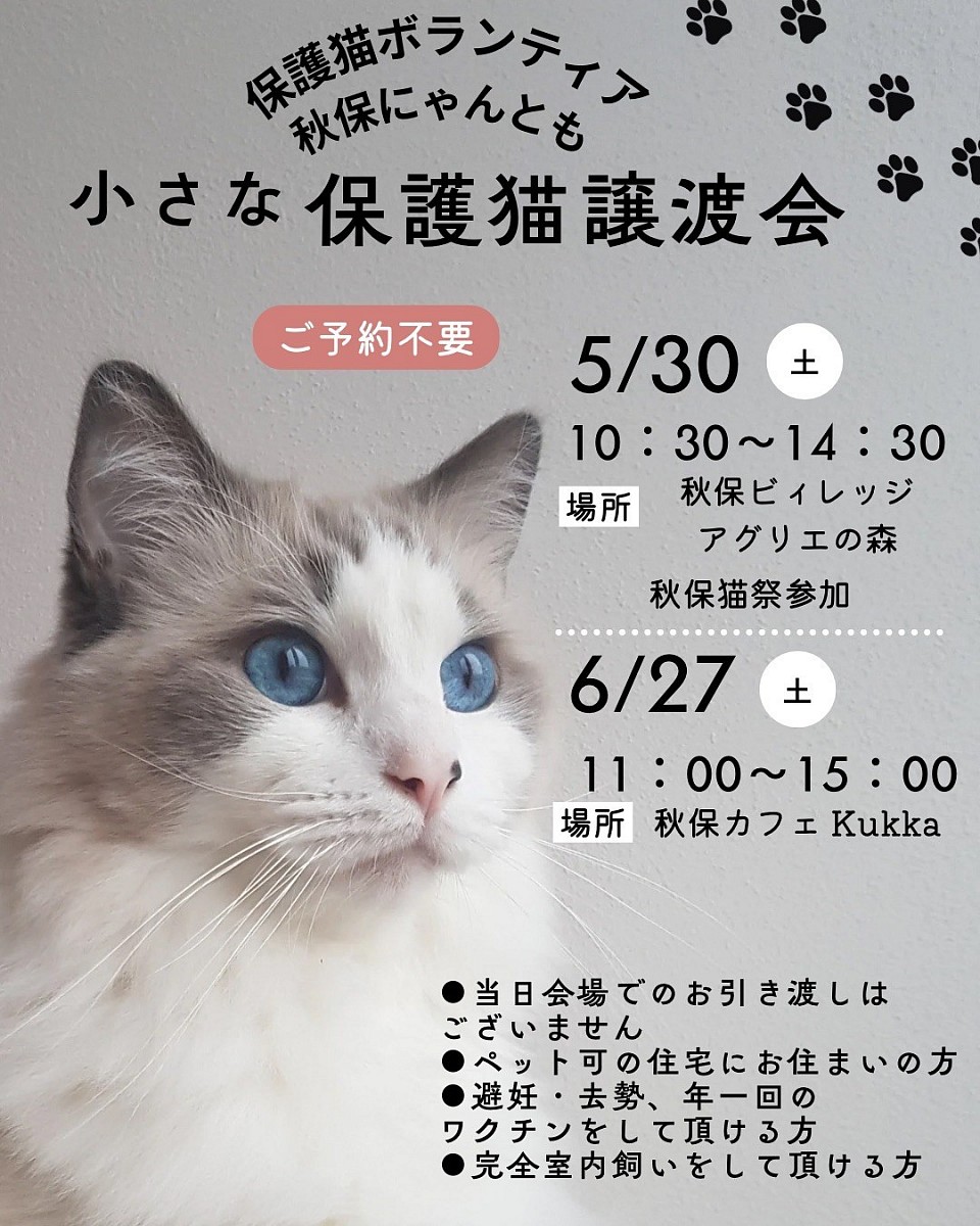 譲渡会
