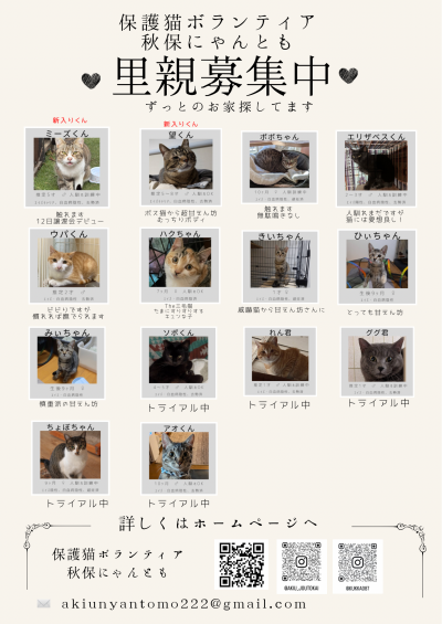 里親募集中