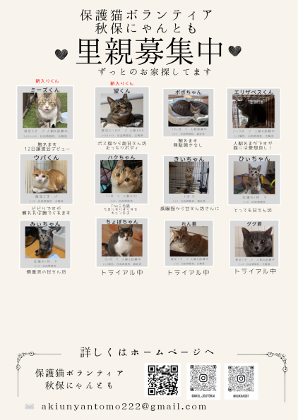 里親募集中