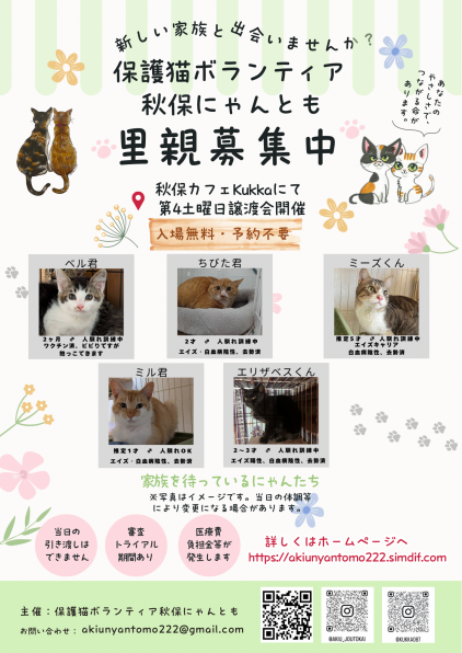 里親募集中