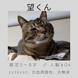 望くん