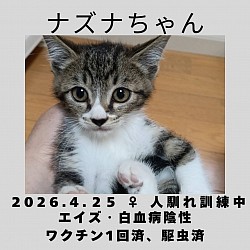 ナズナちゃん