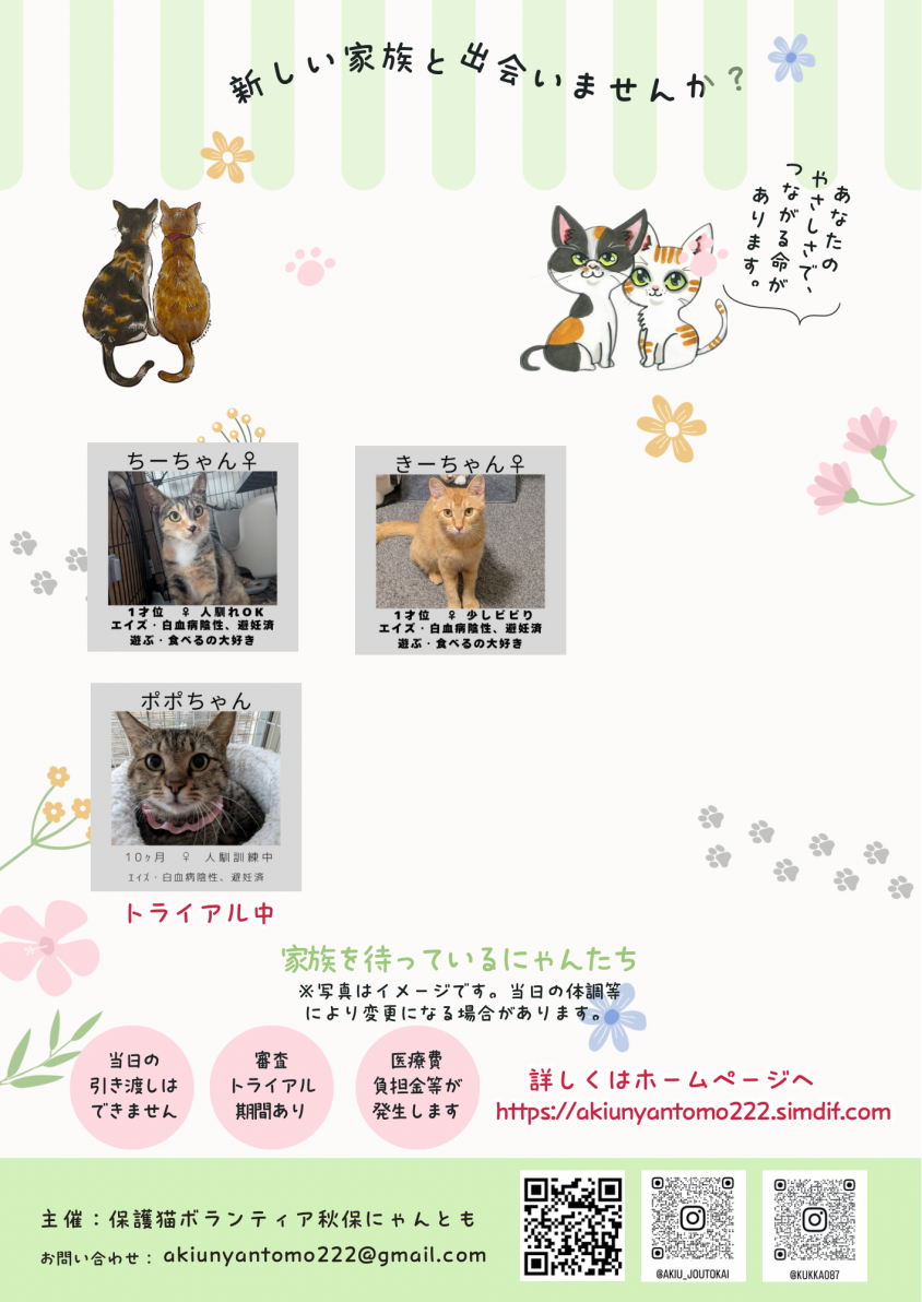 2匹里親様募集中