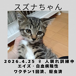 スズナちゃん