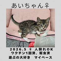 あいちゃん