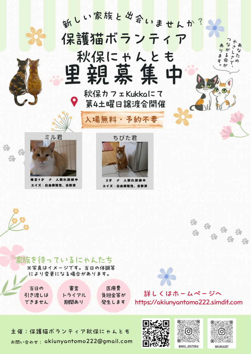 2匹の猫ちゃんたちがずっとのお家待ってます